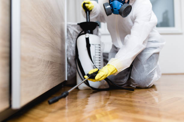 Best Pest Inspection Near Me  in Coal Grove, OH