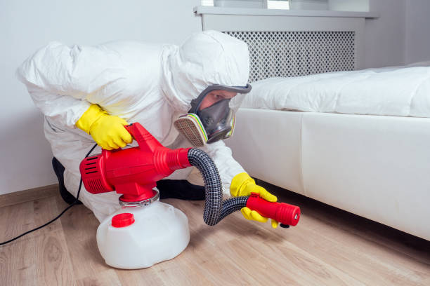 Best Local Pest Control Services  in Coal Grove, OH