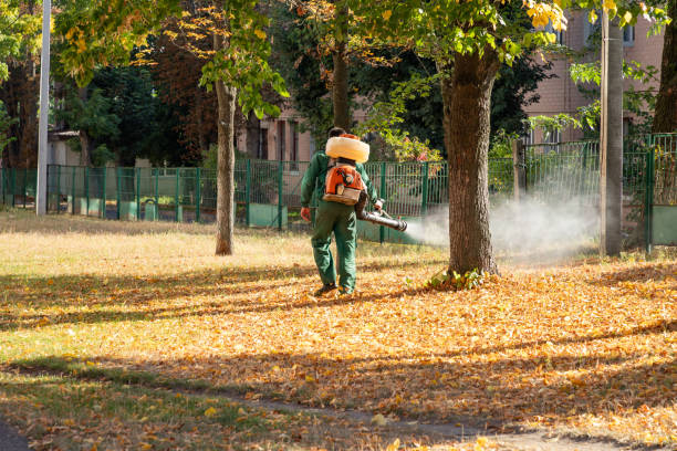 Best Best Pest Control Companies  in Coal Grove, OH